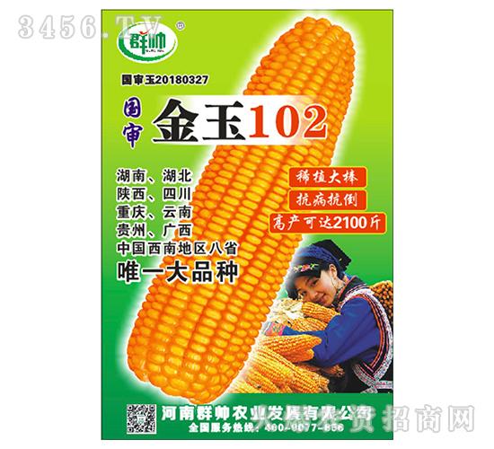 玉米种子-金玉102-群帅-河南群帅农业发展|火爆农资招商网